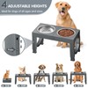 Elevated Dog Bowls Large Breed XiaZ Raised Dog Bowl Stands