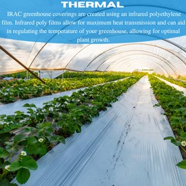 VBS - Clear IRAC Greenhouse Plastic Sheeting - 6 Mil - 4 Year UV Resistant Infrared Anti-Condensate Green House Covering Thermal Greenhouse Plastic 6 mil (20' x 20')