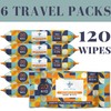 ALTA + Alcohol Free Hand Sanitizing Wipes, Travel Size, 20