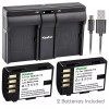 Kastar DMW-BLF19 Battery & USB Dual Charger for Panasonic Lumix