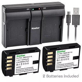 Kastar DMW-BLF19 Battery & USB Dual Charger for Panasonic Lumix DMC-GH3 GH3A GH3AGK
