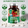Premium Kidney Cleanse – 21 Herb Formula for Urinary Tract