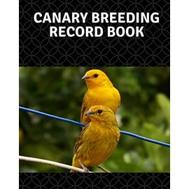 Canary breeding record book: 100 templates log book for birds ,notebook, diary, hatching chicks,eggs,cage, 8"x 10"