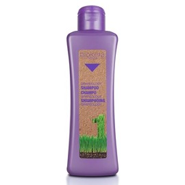 Salerm Biokera Grapeology Shampoo, 10.14 Ounce/300 ml