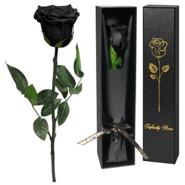 Yamonic Infinity Rose Schwarz mit Stiel Geschenke für Frauen,Echte Rose Geburtstagsgeschenk für Frauen Ewige Rose in Geschenkbox,Konservierte Blume zum Weihnachten Mama, Deko Geschenk,Mama Geschenke