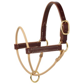 Weaver Leather Kalley Krickeberg Horseman`s Leather Foal Halter