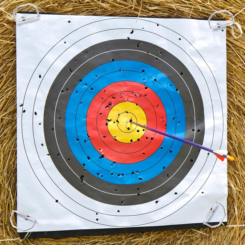 Shimeyao 24 Pack 6" Archery Target Pins with Loop Handle