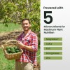 Hithrive 16oz Fruit Tree Fertilizer for Avocados - Makes 32