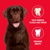 Petrodex Toothpaste for Dogs and Puppies, Cleans Teeth and Fights