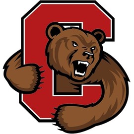 Vinyl Sticker Cornell Big Red Premium Quality Decals Indoor/Outdoor Use for Car Bumper Vehicle Laptop Window & Any Surfaces