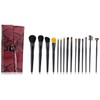 Crown Brush 15 piezas Pro con estuche de diseño, color