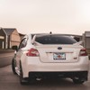 Fastasticdeals Metal Insert License Plate Frame Made in Costa Rica