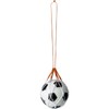 Molten BNDB Ball Net