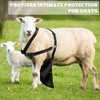 Kajaia Goat Apron Anti Breeding Sheep Skirt Control Buck Anti