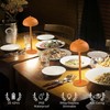 Moragin Orange Table Lamp Set of 2 Rechargeable,Table Lights Battery