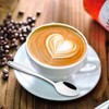 Guankan 12-Piece Stainless Steel Coffee Spoon, Small Espresso Spoons
