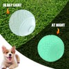 Feixun Dog Glow Ball Toy, Dog Toy Ball Glow in