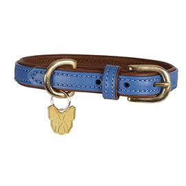 Shires Digby & Fox Padded Leather Dog Collar - Royal XXS