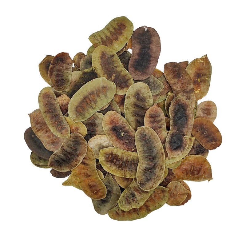 Dried Senna Pods Herbal Tea 85g to 1.95 KG Premium
