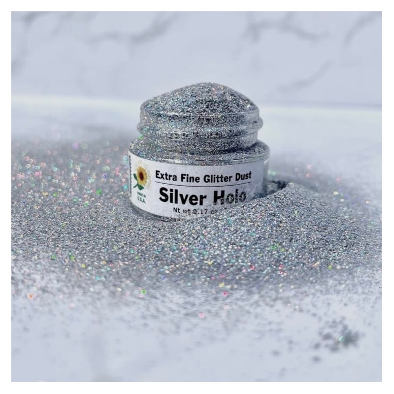 Silver Hologram Glitter Dust, recipiente de 5 g