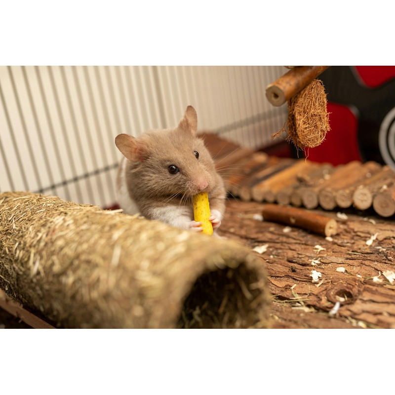 SIMENA Wooden Hamster Suspension Bridge Toy, Hamster Fencing, Natural Climbing