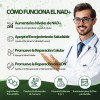 Windboss Nad Capsules 100 Cápsulas Suplemento