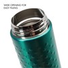 Primula PHAI-12TE01 Single Serve Double Wall Water Bottle, Teal