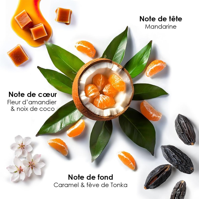 Osée Hydra Dream Öl, 50 ml, Nutrition & Brillance, vegane