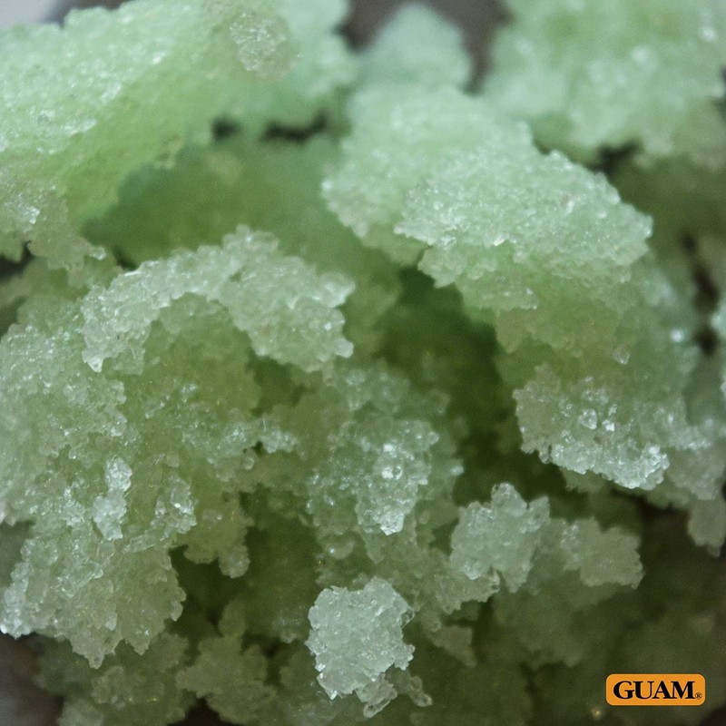 GUAM Mud ALGASCRUB 85 g Company Tones Skin Cellulite Scrub