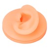 Silicone Ear Acupuncture Practice Model Reusable Simulation Ear Display Model