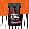 ANIMAL Primal Pre Workout Strawberry Watermelon – Training Booster with