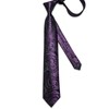 DiBanGu Silk Paisley Ties for Men Woven Necktie and Pocket