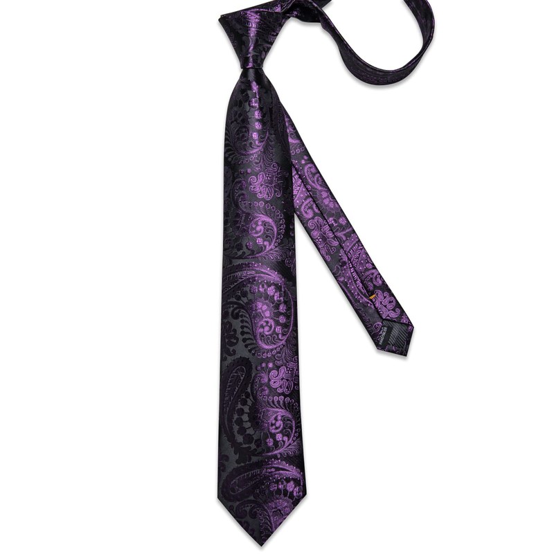 DiBanGu Silk Paisley Ties for Men Woven Necktie and Pocket