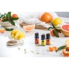 Woolzies 100% Pure & Natural Grapefruit Essential Oil 1 Oz