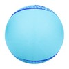 MIKASA MSN78-BL Color Soft Volleyball Circumference 30.7 inches (78 cm)