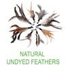 EcoCity Cat Toys - No Chemical Dyeing Cat Feather Toys
