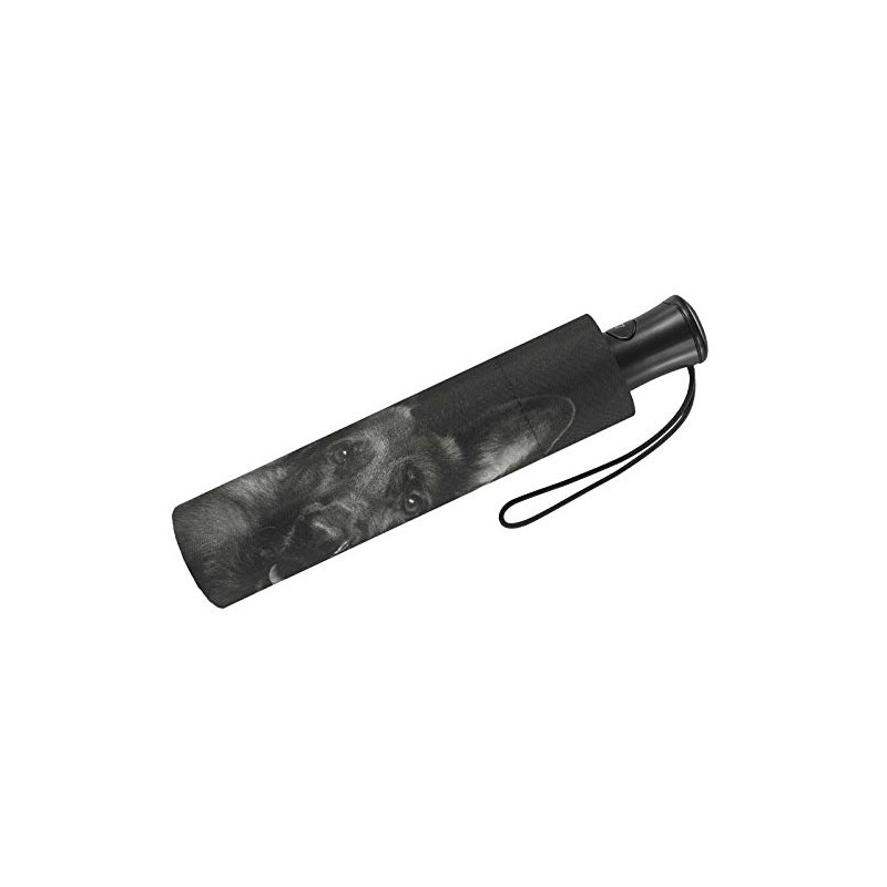 Automatic Umbrella Black Dog, multicoloured