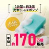 Taiyo Oil and Fat Pax Naturon Kitchen Sponge, Black x