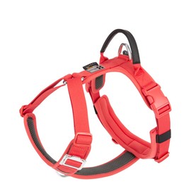 SMALL COMBINATION Dog Harness,No-pull Dog Harness,Adjustable Vest with Durable Handle,Small and medium-sized dog,Outdoor Training Walking (Red, M)