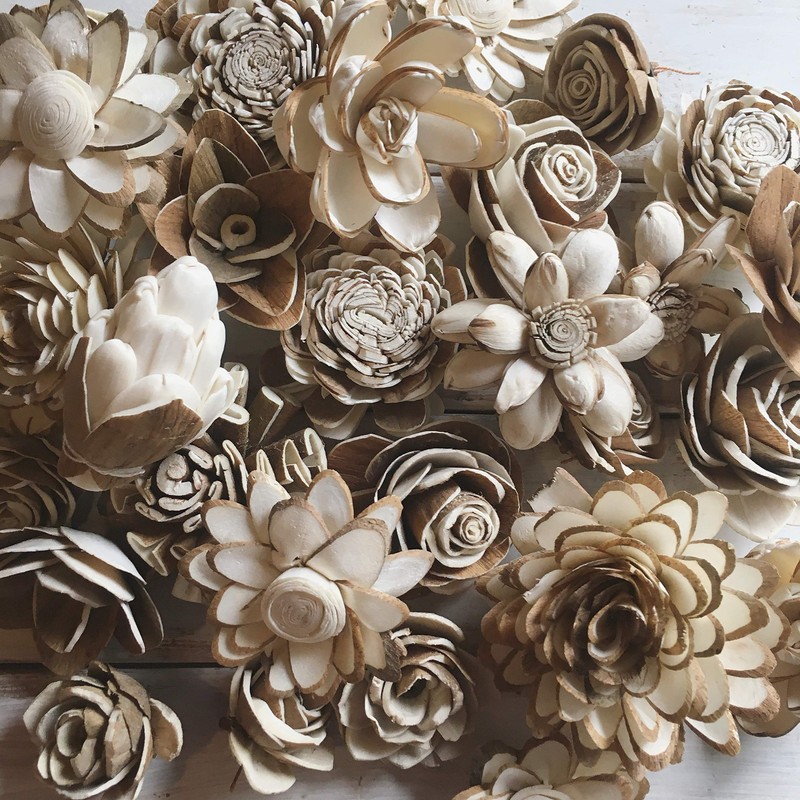 Sola Wood Flower Bark Assortment