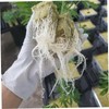 Outanaya 1 Set Hydroponic Soilless Cultivation Blocks Mineral Wool Starter