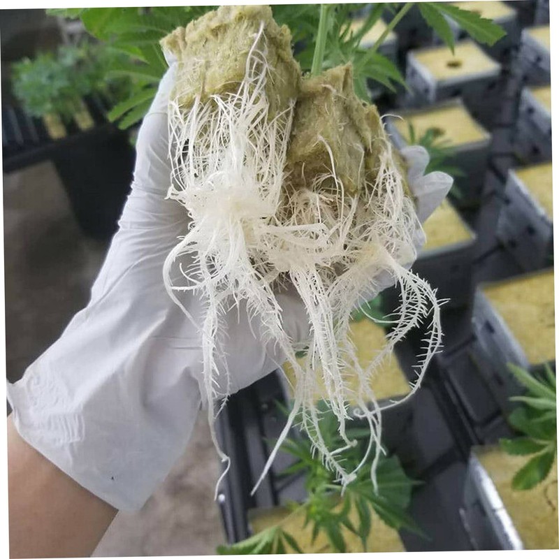 Outanaya 1 Set Hydroponic Soilless Cultivation Blocks Mineral Wool Starter