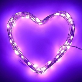 ANJAYLIA 2 Pack 16Ft 50 LED Purple Fairy Lights Battery Operated String Lights for Party Home Festival Decorations