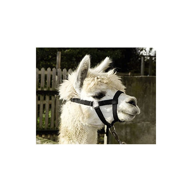 Kerbl Alpaca Headcollar, All Alpaca Types, Clip Closure, Adjustable Size,