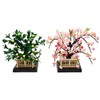 Sakura Tachibana Gion No. 25 (Horazono for Hinamatsuri Dolls)
