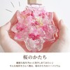 Flower Marika Cherry Blossom Herbarium Birthday Gift Sakura Katachi (Hizakura
