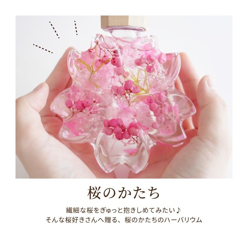 Flower Marika Cherry Blossom Herbarium Birthday Gift Sakura Katachi (Hizakura