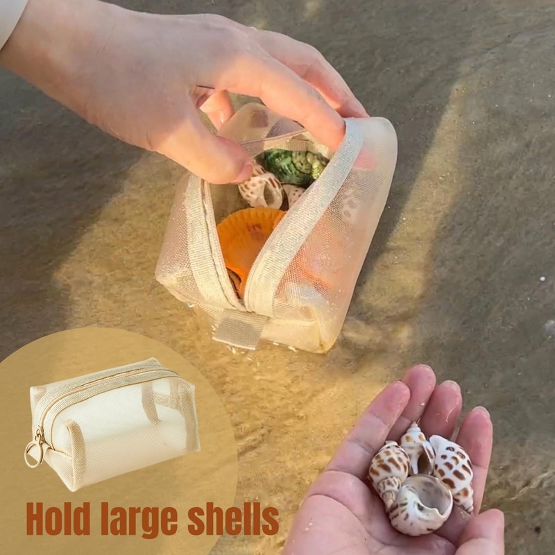 JINYEAH Seashell Display Box with 36+ Shells【Crystal Clear】 Shell Display