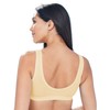 Eden House Ladies | Pack of 3 Bra Original Front