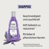 Guhl Silver Shine & Care Shampoo – Contents: 500 ml